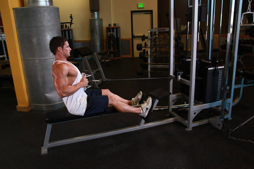 Seated Cable Row: finish position