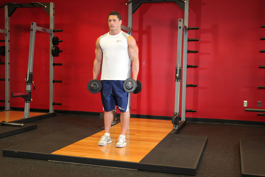 Dumbbell Curl start position