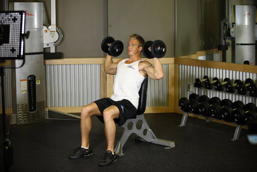 Dumbbell Shoulder Press start position