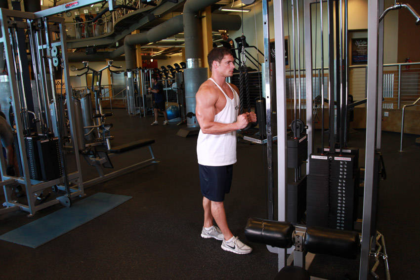 Triceps Pushdown start position