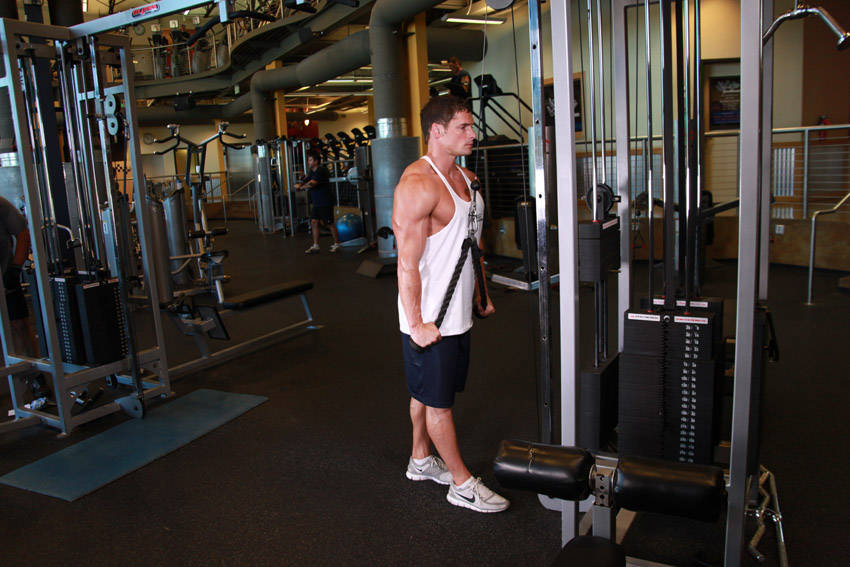 Triceps Pushdown: finish position
